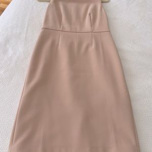 Light Pink Petite Ann Taylor Shift
